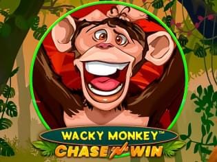 Wacky Monkey - Chase'N'Win screenshot